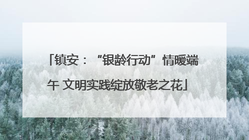 镇安：“银龄行动”情暖端午 文明实践绽放敬老之花