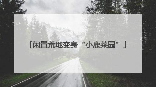 闲置荒地变身“小鹿菜园”