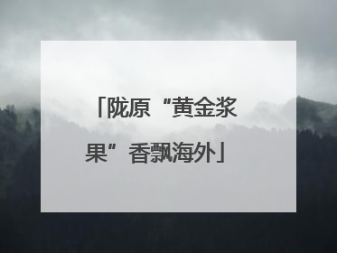 陇原“黄金浆果”香飘海外