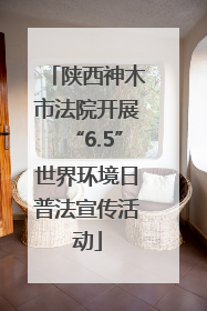陕西神木市法院开展“6.5”世界环境日普法宣传活动