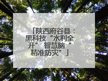 陕西府谷县：黑科技“水利全开” 智慧脑“精准防灾”
