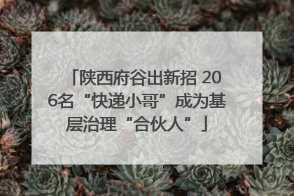 陕西府谷出新招 206名“快递小哥”成为基层治理“合伙人”