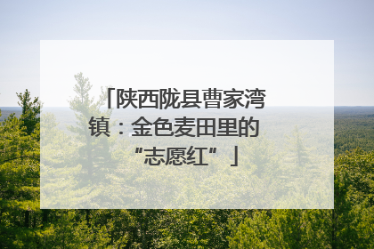 陕西陇县曹家湾镇：金色麦田里的“志愿红”