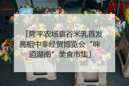 隆平农场袁谷米乳首发亮相中非经贸博览会“味道湖南”美食市集