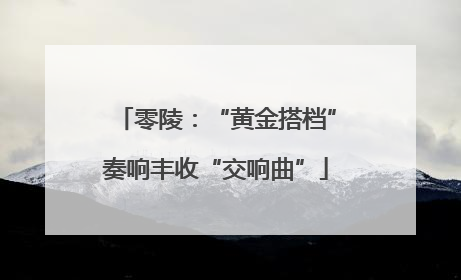 零陵：“黄金搭档”奏响丰收“交响曲”