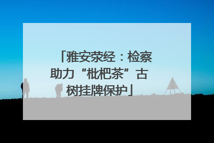 雅安荥经：检察助力“枇杷茶”古树挂牌保护