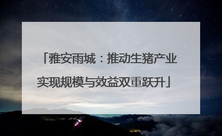 雅安雨城：推动生猪产业实现规模与效益双重跃升