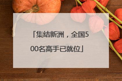 集结新洲，全国500名高手已就位