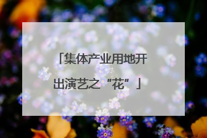 集体产业用地开出演艺之“花”