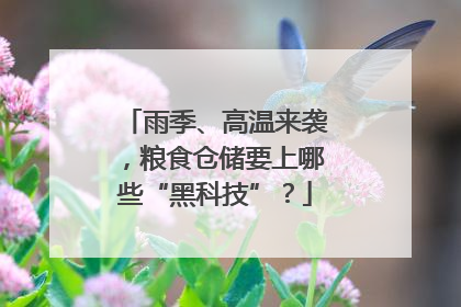 雨季、高温来袭，粮食仓储要上哪些“黑科技”？