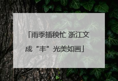 雨季插秧忙 浙江文成“丰”光美如画