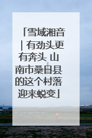 雪域湘音｜有劲头更有奔头 山南市桑日县的这个村落迎来蜕变