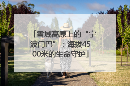 雪域高原上的“宁波门巴”：海拔4500米的生命守护