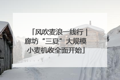 风吹麦浪一线行｜廊坊“三夏”大规模小麦机收全面开始