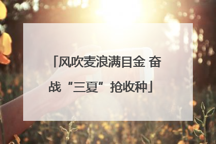 风吹麦浪满目金 奋战“三夏”抢收种