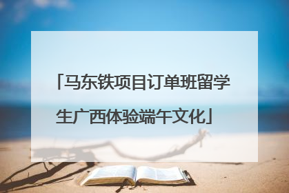 马东铁项目订单班留学生广西体验端午文化