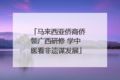 马来西亚侨商侨领广西研修 学中医看非遗谋发展