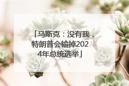 马斯克：没有我，特朗普会输掉2024年总统选举