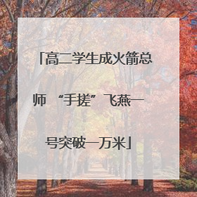 高二学生成火箭总师 “手搓”飞燕一号突破一万米