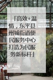高效+温情，东平县州城街道便民服务中心打造为民服务新标杆