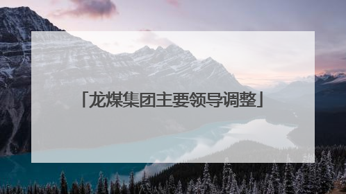 龙煤集团主要领导调整