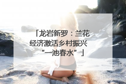 龙岩新罗：兰花经济激活乡村振兴“一池春水”