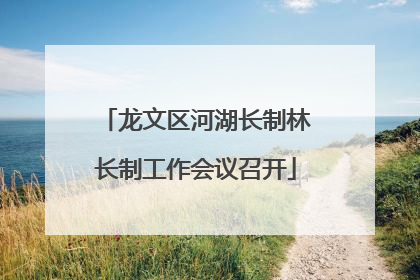 龙文区河湖长制林长制工作会议召开