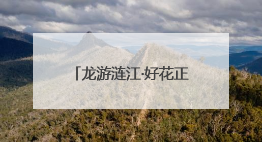 龙游涟江·好花正红—惠水县中医医院举办端午节中医药文化宣传活动