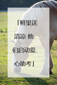 鲜果送清凉 他们启动爱心助考