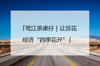 鹭江茶桌仔｜让赏花经济“四季花开”