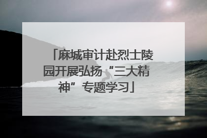 麻城审计赴烈士陵园开展弘扬“三大精神”专题学习