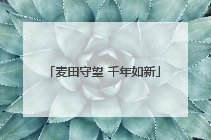 麦田守望 千年如新