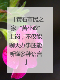 黄石市民之家“黄小政”上岗，不仅能聊天办事还能听懂多种语言