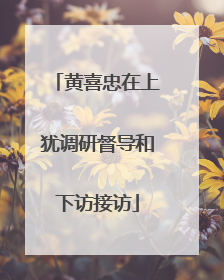黄喜忠在上犹调研督导和下访接访
