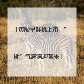 黄陂早鲜桃上市 “桃”气满满迎客来