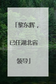 黎东辉，已任湖北省领导