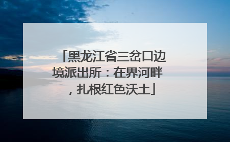 黑龙江省三岔口边境派出所：在界河畔，扎根红色沃土