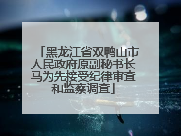 黑龙江省双鸭山市人民政府原副秘书长马为先接受纪律审查和监察调查
