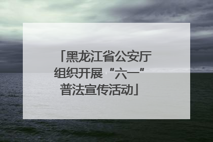 黑龙江省公安厅组织开展“六一”普法宣传活动