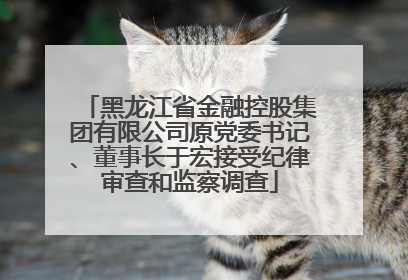 黑龙江省金融控股集团有限公司原党委书记、董事长于宏接受纪律审查和监察调查