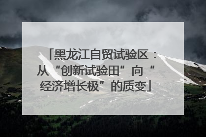 黑龙江自贸试验区：从“创新试验田”向“经济增长极”的质变