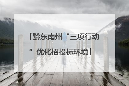 黔东南州“三项行动”优化招投标环境