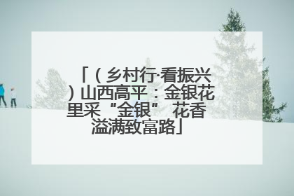 （乡村行·看振兴）山西高平：金银花里采“金银” 花香溢满致富路