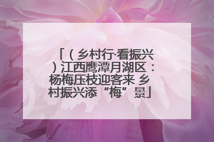 （乡村行·看振兴）江西鹰潭月湖区：杨梅压枝迎客来 乡村振兴添“梅”景