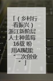 （乡村行·看振兴）浙江新阶层人士种蓝莓16载 盼用AI赋能“二次创业”