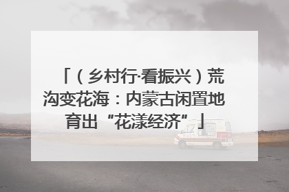 （乡村行·看振兴）荒沟变花海：内蒙古闲置地育出“花漾经济”