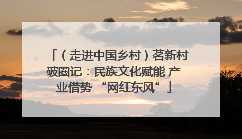 （走进中国乡村）茗新村破圈记：民族文化赋能 产业借势 “网红东风”