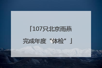 107只北京雨燕完成年度“体检”