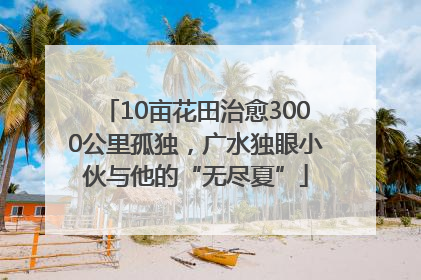 10亩花田治愈3000公里孤独，广水独眼小伙与他的“无尽夏”