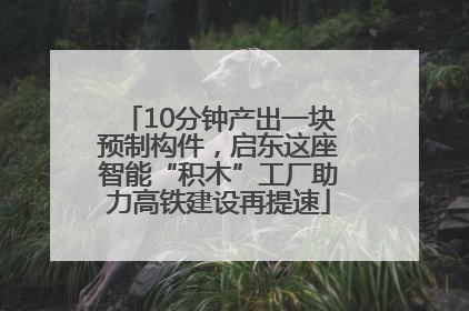 10分钟产出一块预制构件，启东这座智能“积木”工厂助力高铁建设再提速